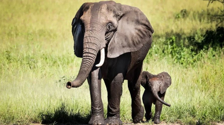 Khol Hi-Raitan Wildlife Sanctuary, Panchkula, Haryana - Vushii.com